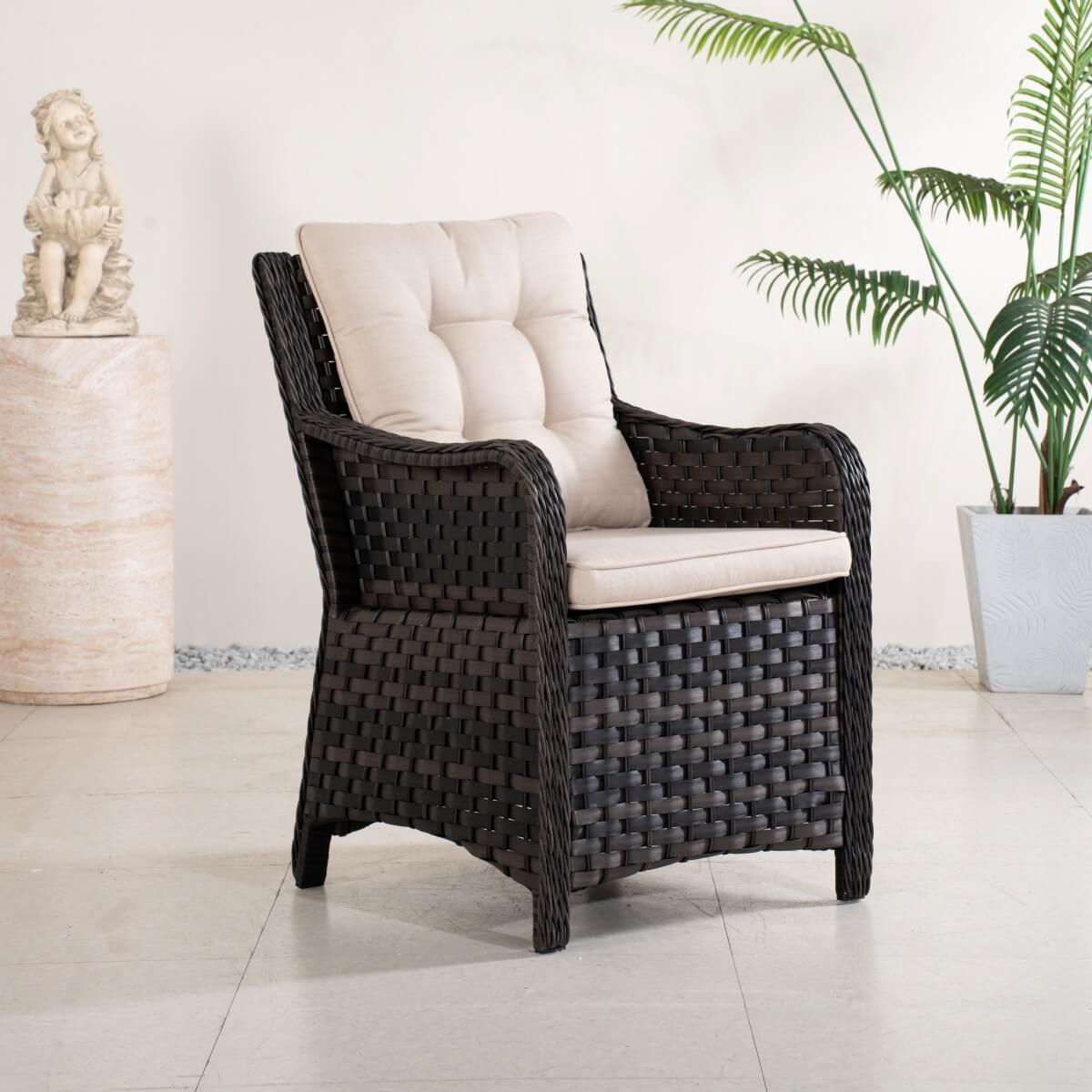 Premium Aluminum Frame Wicker Dining Chair with Cushions (PAC-013) - Direct Wicker