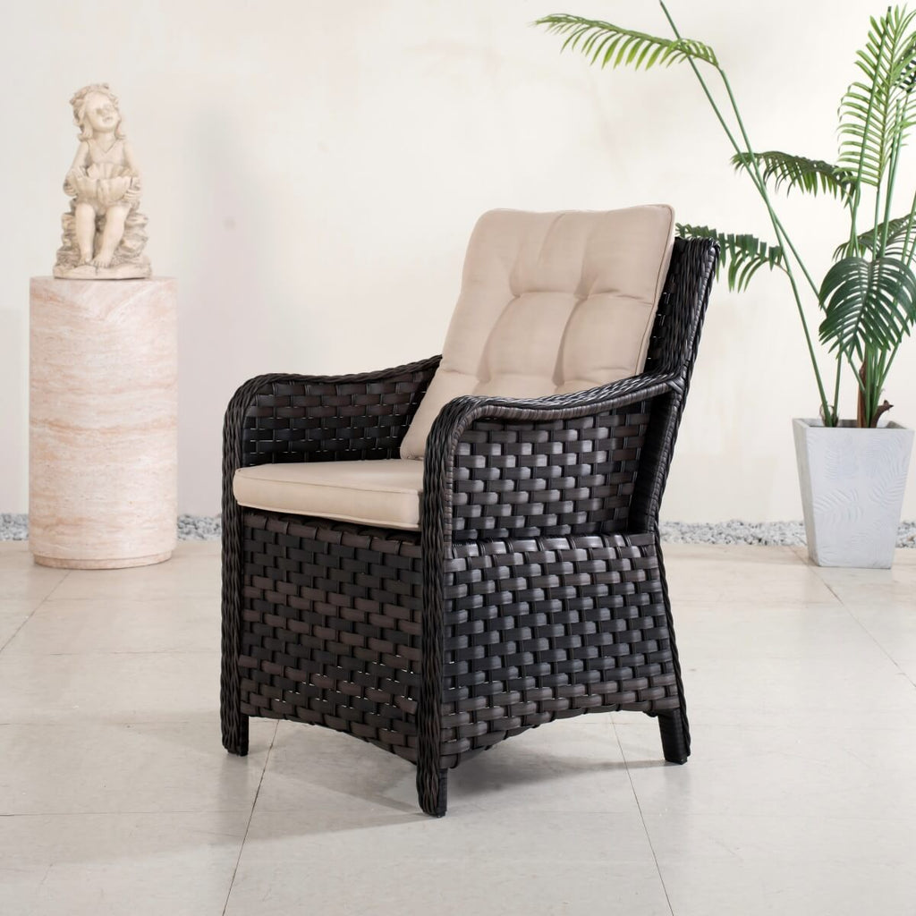 Premium Aluminum Frame Wicker Dining Chair with Cushions (PAC-013) - Direct Wicker